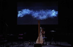 internal video